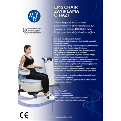 Ems Chair Zayıflama Cihazı