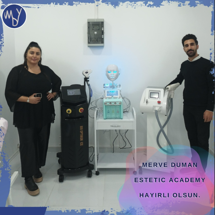 Q Switch ND YAG Lazer Dövme & Kalıcı Makyaj Silme Tüy Sarartma Carbon Peeling